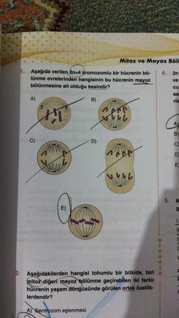 Mitoz ve Mayoz Bölü
1. Aşağıda verilen 2n=4 kromozomlu bir hücrenin bö- 4. 2n
ve
lünme evrelerinden hangisinin bu hücrenin mayoz
bölünmesine ait olduğu kesindir?
cu
sa
ril
A)
HT
E)
B)
A) Sentrozom eşlenmesi
D)
2. Aşağıdakilerden hangisi tohumlu bir bitkide, biri
mitoz diğeri mayoz bölünme geçirebilen iki farklı
hücrenin yaşam döngüsünde görülen ortak özellik-
lerdendir?
A)
B)
C)
D
E
5. M
g