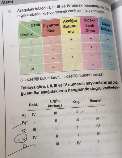 Âlemi
10. Aşağıdaki tabloda I, II, III ve IV olarak numaralanan
ergin kurbağa, kuş ve memeli canlı sınıfları verilmiştir.
Canlı
Özellik
I
||
IV
Balık
Diyafram
Kası
A)
IV
BY I
C)
D) IV
EI
+
I
I
Akciğer
Solunu-
mu
Ergin
kurbağa
|||
||
||
||
|||
+
+
+
Kuş
Sıc
