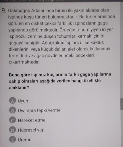 9. Galapagos Adaları'nda birbiri ile yakın akraba olan
ispinoz kuşu türleri bulunmaktadır. Bu türler arasında
görülen en dikkat çekici farklılık ispinozların gaga
yapısında görülmektedir. Örneğin tohum yiyen iri yer
ispinozu, zemine düşen tohumları kırmak