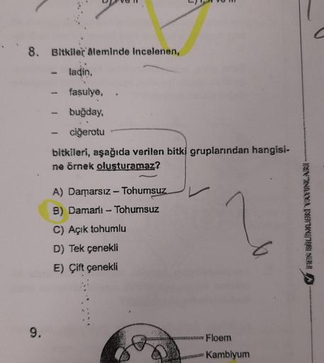 8. Bitkiler aleminde incelenen,
9.
1
ladin,
fasulye,
buğday,
ciğerotu
bitkileri, aşağıda verilen bitki gruplarından hangisi-
ne örnek oluşturamaz?
A) Damarsız - Tohumsuz
B) Damarlı - Tohumsuz
C) Açık tohumlu
D) Tek çenekli
E) Çift çenekli
Floem
Kambiyum
IH