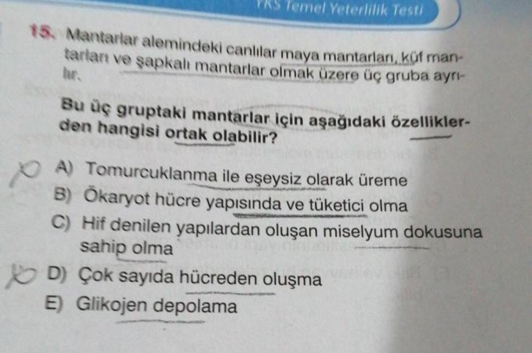 Temel Yeterlilik Testi
15. Mantarlar alemindeki canlılar maya mantarları, küf man-
tarlan ve şapkalı mantarlar olmak üzere üç gruba ayrı-
hr.
Bu üç gruptaki mantarlar için aşağıdaki özellikler-
den hangisi ortak olabilir?
A) Tomurcuklanma ile eşeysiz olara