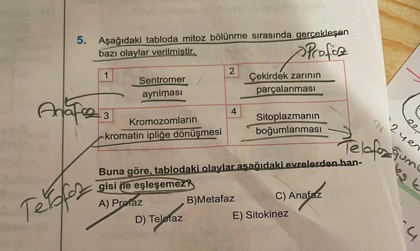 5. Aşağıdaki tabloda mitoz bölünme sırasında gerçekleşen
bazı olaylar verilmiştir.
Profoz
1
Anaf23
Terafoz
Sentromer
ayrılması
Kromozomların
kromatin ipliğe dönüşmesi
2
D) Teloraz
4
Çekirdek zarının
parçalanması
B)Metafaz
Sitoplazmanın
boğumlanması
Buna gö