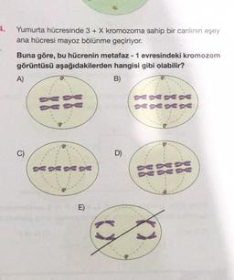 Yumurta hücresinde 3 + X kromozoma sahip bir canlının eşey
ana hücresi mayoz bölünme geçiriyor.
Buna göre, bu hücrenin metafaz - 1 evresindeki kromozom
görüntüsü aşağıdakilerden hangisi gibi olabilir?
B)
A)
C)
DE DESE
E)
D)
XX