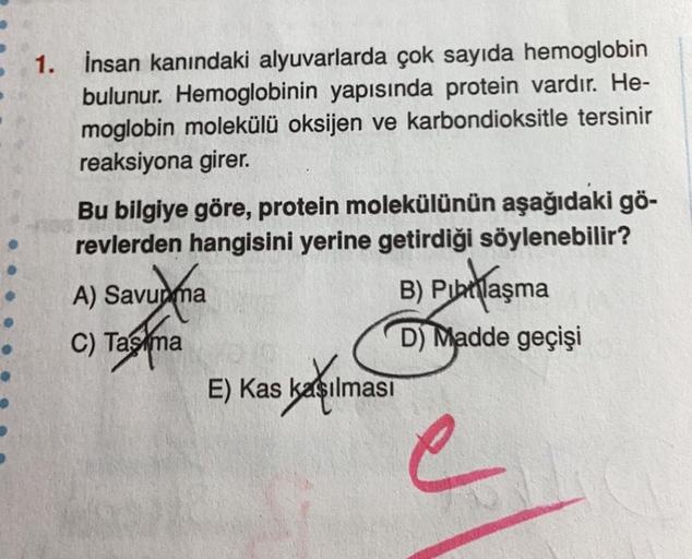 1. İnsan kanındaki alyuvarlarda çok sayıda hemoglobin
bulunur. Hemoglobinin yapısında protein vardır. He-
moglobin molekülü oksijen ve karbondioksitle tersinir
reaksiyona girer.
Bu bilgiye göre, protein molekülünün aşağıdaki gö-
revlerden hangisini yerine