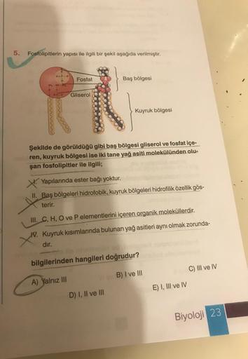 5.
Fosfolipitlerin yapısı ile ilgili bir şekil aşağıda verilmiştir.
01010
0
CH₂-CH-CH₂
O
O
Fosfat
OC D Gliserol
Baş bölgesi
Kuyruk bölgesi
Şekilde de görüldüğü gibi baş bölgesi gliserol ve fosfat içe-
ren, kuyruk bölgesi ise iki tane yağ asiti molekülünden