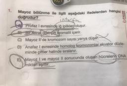 1.
Mayoz bölünme ile ilgili aşağıdaki ifadelerden hangisi
doğrudur?
PALME
YAYINEVİ
interfer
A Profaz I evresinde iğ iplikleri oluşur.
BY Bir tetrat dort çift kromatit içerir.
C)
Mayoz Il'de kromozom sayısı yarıya düşer.
D) Anafaz I evresinde homolog kromozomlar ekvator düzle-
minde çiftler halinde sıralanır.
E Mayoz I ve mayoz II sonucunda oluşan hücrelerin DNA
miktarı eşittir.