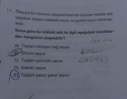 11. Ökaryot bir hücrenin sitoplazmasında bulunan nükleik asit
çeşidinin toplam nükleotit sayısı ve guanin sayısı bilinmek-
tedir.
Buna göre bu nükleik asit ile ilgili aşağıdaki nicelikler-
den hangisine ulaşılabilir?
100 NOL
A) Toplam hidrojen bağ sayısı
B Sitozin sayısı
C) Toplam pirimidin sayısı
D) Adenin sayısı
E) Toplam petoz şeker sayısı
40 Guain
40 SHOC