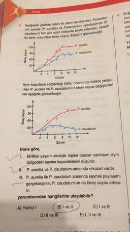 5. Aşağıdaki grafikte birbiri ile yakın akraba olan Parameci-
um aurelia (P. aurelia) ve Paramecium caudatum'un (P.
caudatum) her gün sabit miktarda besin eklenilen, kararlı
iki farklı ortamdaki birey sayısı değişimi gösterilmiştir.
Birey sayısı
Karma
Birey sayısı
120-
90+
60+
30+
120+
90+
60+
+
2
30+
O O
+
4
2 4
A
O
+
6
O
+
8
Günler
A
6
A
Aynı koşulların sağlandığı kültür ortamında birlikte yetişti-
rilen P. aurelia ve P. caudatum'un birey sayısı değişimleri
ise aşağıda gösterilmiştir.
O
+
8
Günler
O
D) II ve III
O
+
10
O
P. aurelia
P. caudatum
12
B) I ve II
O
P. aurelia
P. caudatum
+
+
10 12
Buna göre,
1.
Birlikte yaşam ekolojik nişleri benzer canlıların aynı
bölgedeki taşıma kapasitelerini düşürür.
11. P. aurelia ve P. caudatum arasında rekabet vardır.
III. P. aurelia ile P. caudatum arasında kaynak paylaşımı
gerçekleşirse, P. caudatum'un da birey sayısı artabi-
lir.
yorumlarından hangilerine ulaşılabilir?
A) Yalnız I
C) I ve III
7. Boğa
rinir
bile
E) I, II ve III
yap
nin
bü
YL
bi
1.