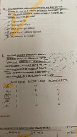 Çok hücrell bir organizmanın üreme ana hücrelerinin
normal bir mayoz bölünme geçirmesi ile oluşan ge-
met hücreleri arasında, aşağıdakilerden hangisi ke
sinlikle benzerlik gösterir?
A) Organel sayısı
Sitoplazma miktan
DNA lannin gen dizilimi
DNA lanının nükleotit çeşitleri
Hücrelerinin büyüklüğü
6. Yandaki şekilde gösterilen kromo-
zomlara sahip bir hücrenin mayoz
bölünme sırasında oluşturacağı
-tetrat sayısı, kromatit sayısı ve bö-
lünme sonucunda oluşacak hücre-
Herin kromozom sayısı aşağıdaki
lerin hangisinde doğru olarak verilmiştir?
Tetrat Sayısı Kromatit Sayısı
3
12
2
8
3
12
16
12
Ork
0
SS H
FF
HH naxaruiraigi soylenemez
Byff ve IV
Chill ve IV
Kromozom Sayısı
3
4
SS
7
6
8
yarguen
A) Yalniz