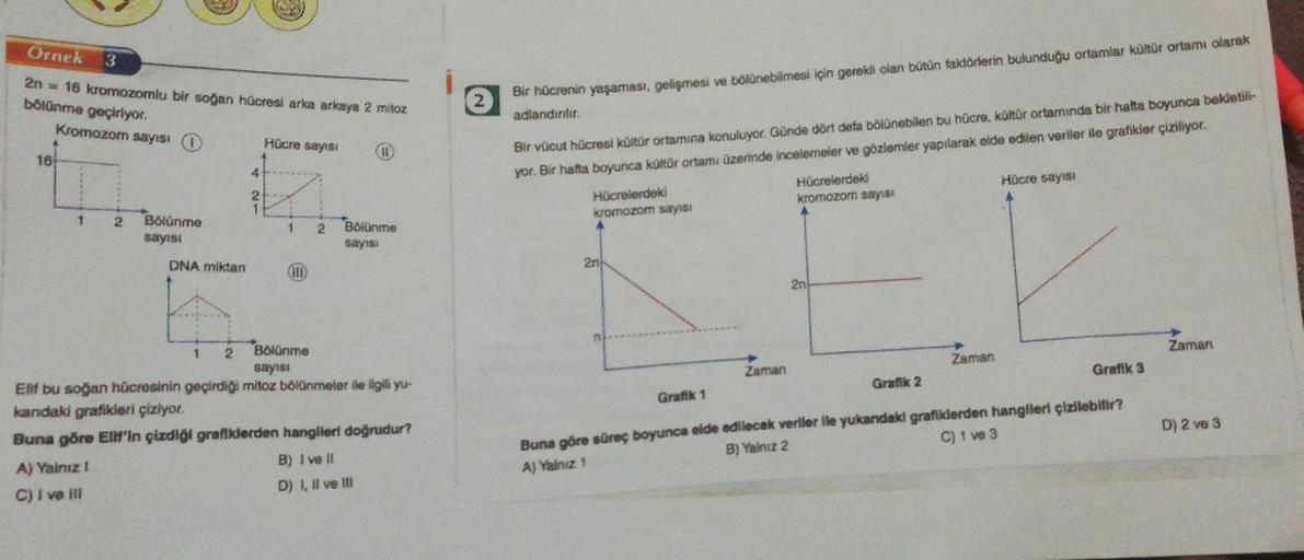 Örnek 3
2n = 16 kromozomlu bir soğan hücresi arka arkaya 2 mitoz
bölünme geçiriyor.
16
Kromozom sayısı O
1
2
A) Yalnız !
C) I ve ill
Bölünme
sayısı
DNA miktan
1
2
4
2
1
Hücre sayısı
1
2
(11)
Bölünme
sayısı
Bölünme
sayısı
Elif bu soğan hücresinin geçirdiği