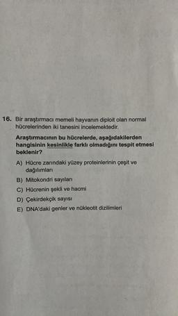 16. Bir araştırmacı memeli hayvanın diploit olan normal
hücrelerinden iki tanesini incelemektedir.
Araştırmacının bu hücrelerde, aşağıdakilerden
hangisinin kesinlikle farklı olmadığını tespit etmesi
beklenir?
A) Hücre zarındaki yüzey proteinlerinin çeşit ve
dağılımları
B) Mitokondri sayıları
C) Hücrenin şekli ve hacmi
D) Çekirdekçik sayısı
E) DNA'daki genler ve nükleotit dizilimleri