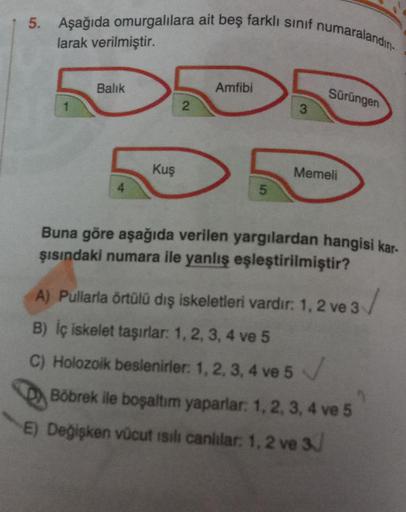 5. Aşağıda omurgalılara ait beş farklı sınıf numaralandın.
larak verilmiştir.
1
Balık
Kuş
2
Amfibi
3
Sürüngen
Memeli
Buna göre aşağıda verilen yargılardan hangisi kar-
şısındaki numara ile yanlış eşleştirilmiştir?
A) Pullarla örtülü dış iskeletleri vardır: