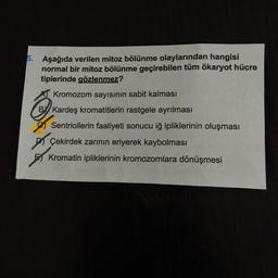 5. Aşağıda verilen mitoz bölünme olaylarından hangisi
normal bir mitoz bölünme geçirebilen tüm ökaryot hücre
tiplerinde gözlenmez?
Kromozom sayısının sabit kalması
B Kardeş kromatitlerin rastgele ayrılması
Sentriollerin faaliyeti sonucu iğ ipliklerinin oluşması
7
Çekirdek zarının eriyerek kaybolması
Kromatin ipliklerinin kromozomlara dönüşmesi