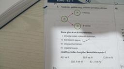 7
KUNU TESTI
7. Aşağıdaki şekilde mitoz bölünme şematize edilmiştir.
3n
3n
3n
30
A hücresi
D) I, II ve III
B hücresi
Buna göre A ve B hücrelerinin;
1. DNA'larındaki nükleotit dizilimleri,
II. kromozom sayısı,
III. sitoplazma miktarı,
IV. organel sayısı
niceliklerinden hangileri kesinlikle aynıdır?
A) I ve II
B) II ve III
E) I, II ve IV
C) III ve IV
10.
n=
yu
de
X