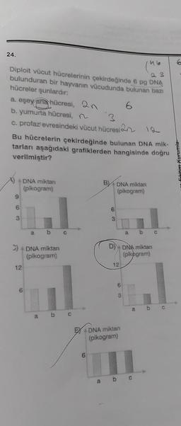 24.
Diploit vücut hücrelerinin çekirdeğinde 6 pg DNA
bulunduran bir hayvanın vücudunda bulunan bazı
hücreler şunlardır:
6
a. eşey ana hücresi, 2n
b. yumurta hücresi, n
c. profaztevresindeki vücut hücresin
4 DNA miktarı
(pikogram)
Bu hücrelerin çekirdeğinde bulunan DNA mik-
tarları aşağıdaki grafiklerden hangisinde doğru
verilmiştir?
963
12
a
3) + DNA miktan
(pikogram)
6
b c
8
b c
6
B)
a
6
3
DNA miktarı
(pikogram)
12
* DNA miktan
(pikogram)
6
3
(46
3
D) DNA miktan
(pikogram)
b
a
23
G
C
Enitim Kurumla