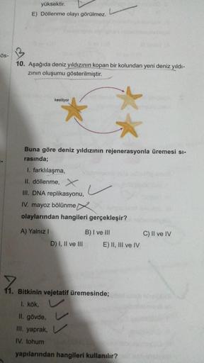 Ös-
yüksektir.
E) Döllenme olayı görülmez.
10. Aşağıda deniz yıldızının kopan bir kolundan yeni deniz yıldı-
zının oluşumu gösterilmiştir.
kesiliyor
Buna göre deniz yıldızının rejenerasyonla üremesi si-
rasında;
**
I. farklılaşma,
II. döllenme, X
III. DNA