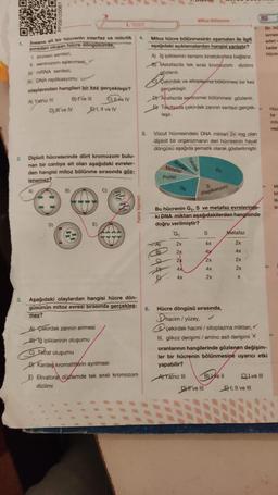 1.
2
3.
Insana ait bir hücrenin interfaz ve mitotik
evreden oluşan hücre döngüsünde,
1. protein sentezi,
II. sentrozom eşlenmesi, y
mRNA sentezi,
IV. DNA replikasyonu
olaylarından hangileri bir kez gerçekleşir?
A) Yalnız IV
B) I've III
Cve IV
D), M ve IV
A)
Diploit hücrelerinde dört kromozom bulu-
nan bir canlıya ait olan aşağıdaki evreler-
den hangisi mitoz bölünme sırasında göz-
lenemez?
D)
E, II ve IV
B)
1. TEST
E)
A) Çekirdek zanının erimesi
BIğ ipliklerinin oluşumu
C) Tetrat oluşumu
D) Kardeş kromatitlerin ayrılması
Palme Yayınevi
Aşağıdaki olaylardan hangisi hücre dön-
güsünün mitoz evresi sırasında gerçekleş-
mez?
E) Ekvatoral düzlemde tek sıralı kromozom
dizilimi
5.
Mitoz hücre bölünmesinin aşamalan ile ilgili
aşağıdaki açıklamalardan hangisi yanlıştır?
A) lg ipliklerinin tamamı kinetokorlara bağlanır.
B) Metafazda tek sirali kromozom dizilimi
gözlenir.
Çekirdek ve sitoplazma bölünmesi bir kez
gerçekleşir.
D) Anafazda sentromer bölünmesi gözlenir.
Telofazda çekirdek zarının sentezi gerçek->
leşir.
Vücut hücresindeki DNA miktan 2x mg olan
diploit bir organizmanın deri hücresinin hayat
döngüsü aşağıda şematik olarak gösterilmiştir.
Anafaz
Metafaz
Profaz
kg d d
Mitoz Bökinme
Telofaz
G₁
G₂
2x
2x
2x
4x
4x
Bu hücrenin G₁, S ve metafaz evrelerinde-
ki DNA miktarı aşağıdakilerden hangisinde
doğru verilmiştir?
S
(Replikasyon)
S
|
G₁
4x
4x
2x
4x
2x
DHI ve III
Be ll
Metafaz
2x
4x
2x
2x
X
6. Hücre döngüsü sırasında,
Dhacim/yüzey,
çekirdek hacmi / sitoplazma miktarı,✔
III. glikoz derişimi / amino asit derişimi X
oranlarının hangilerinde gözlenen değişim-
ler bir hücrenin bölünmesine uyarıcı etki
yapabilir?
A) Yalnız III
C) Lve Ill
Bir hü
laması
eden c
kadar
hücre
E, II ve III
Hüc
bir
mito
resi
Mi
be
laz
iki