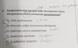 sadece kar yokinaz
3. Aşağıdakilerden hangisi bitki hücrelerinin hücre
döngüsünün mitoz evresinde gerçekleşmez?
A) DNA replikasyonu
B) Kromatin ipliğin kromozoma dönüşmesi
_C) Çekirdek zarının parçalanması Profon
D) Sentromer ayrılması
res
Arofes
E) İğ ipliklerinin oluşumu Profes