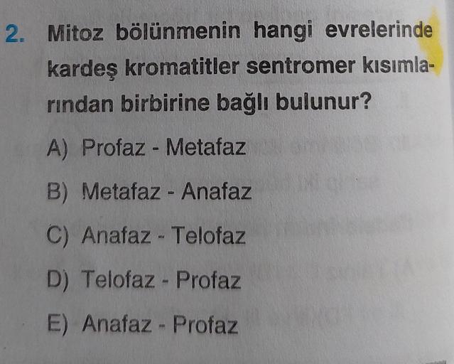 hangi evrelerinde
kardeş kromatitler sentromer kısımla-
rından birbirine bağlı bulunur?
A) Profaz - Metafaz
B) Metafaz - Anafaz
C) Anafaz - Telofaz
D) Telofaz-Profaz
E) Anafaz - Profaz
2. Mitoz bölünmenin