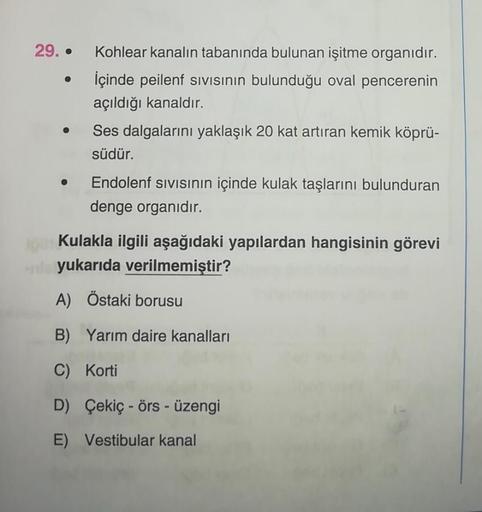 29..
●
Kohlear kanalın tabanında bulunan işitme organıdır.
İçinde peilenf sıvısının bulunduğu oval pencerenin
açıldığı kanaldır.
Ses dalgalarını yaklaşık 20 kat artıran kemik köprü-
südür.
Endolenf sıvısının içinde kulak taşlarını bulunduran
denge organıdı