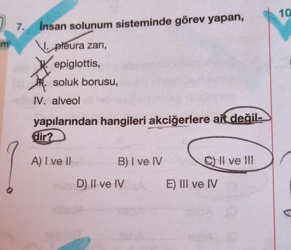 im
Q
7. insan solunum sisteminde görev yapan,
pleura zari,
epiglottis,
soluk borusu,
IV. alveol
yapılarından hangileri akciğerlere ait değil-
dir?
A) I ve II
B) I ve IV
D) II ve IV
I ve III
E) III ve IV
10
10