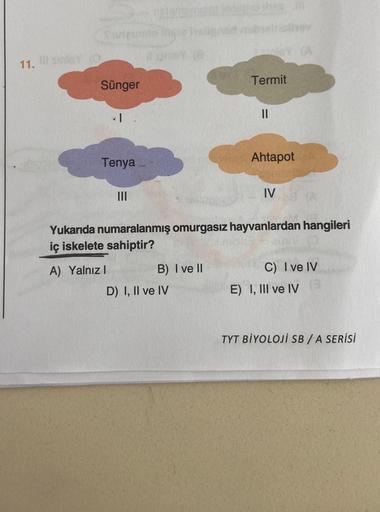 11. ill sinley
Sünger
|
Tenya
|||
0!
B) I ve II
tenapo shes m
they
D) I, II ve IV
Termit
||
Ahtapot
Yukarıda numaralanmış omurgasız hayvanlardan hangileri
iç iskelete sahiptir?
A) Yalnız I
IV
C) I ve IV
E) I, III ve IV
TYT BİYOLOJİ SB / A SERİSİ