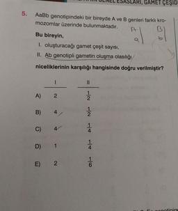 5.
AaBb genotipindeki bir bireyde A ve B genleri farklı kro-
mozomlar üzerinde bulunmaktadır.
Bu bireyin,
I. oluşturacağı gamet çeşit sayısı,
II. Ab genotipli gametin oluşma olasılığı
niceliklerinin karşılığı hangisinde doğru verilmiştir?
A)
B)
C)
D)
1
2
4
E) 2
||
2
2
| | -6
GAMET ÇEŞID
4
4
genotipine