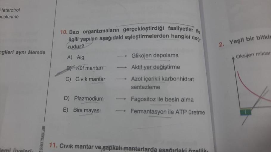 Heterotrof
beslenme
gileri aynı âlemde
E RENK YAYINLARI
10. Bazı organizmaların gerçekleştirdiği faaliyetler ile
ilgili yapılan aşağıdaki eşleştirmelerden hangisi doğ.
rudur?
A) Alg
BY Küf mantarı
C) Civik mantar
D)
Plazmodium
E) Bira mayası
Glikojen depol