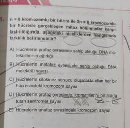 1. n = 8 kromozomlu bir hücre ile 2n = 8 kromozomlu
bir hücrede gerçekleşen mitoz bölünmeler karşı-
laştırıldığında, aşağıdaki niceliklerden hangisinde
farklılık belirlenebilir?
A) Hücrelerin profaz evresinde sahip olduğu DNA mo-
leküllerinin ağırlığı
B) Hucrelerin metafaz evresinde sahip olduğu DNA
molekülü sayısı
C) Hücrelerin sitokinez sonucu oluşmakta olan her bir
hücresindeki kromozom sayısı
D) Hücrelerin profaz evresinde, kromatitlerini bir arada
tutan sentromer sayısı
8-8
E) Hücrelerin anafaz evresindeki kromozom sayısı