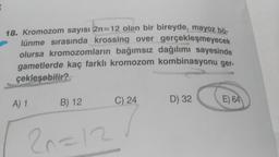 T
18. Kromozom sayısı 2n=12 olan bir bireyde, mayoz bő-
lünme sırasında krossing over gerçekleşmeyecek
olursa kromozomların bağımsız dağılımı sayesinde
gametlerde kaç farklı kromozom kombinasyonu ger-
çekleşebilir?
A) 1
B) 12
20=12
C) 24
D) 32
E) 64