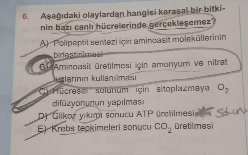 6.
Aşağıdaki olaylardan hangisi karasal bir bitki-
nin bazı canlı hücrelerinde gerçekleşemez?
A) Polipeptit sentezi için aminoasit moleküllerinin
birlestirilmesi
B Aminoasit üretilmesi için amonyum ve nitrat
uzlarının kullanılması
CHücresel solunum için si