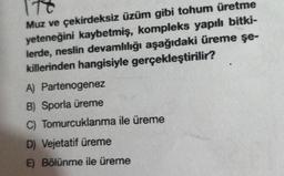 TO
Muz ve çekirdeksiz üzüm gibi tohum üretme
yeteneğini kaybetmiş, kompleks yapılı bitki-
lerde, neslin devamlılığı aşağıdaki üreme şe-
killerinden hangisiyle gerçekleştirilir?
A) Partenogenez
B) Sporla üreme
C) Tomurcuklanma ile üreme
D) Vejetatif üreme
E) Bölünme ile üreme