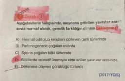 ÖSYM
Örnek: (3)
Aşağıdakilerin hangisinde, meydana getirilen yavrular ara-
sında normal olarak, genetik farklılığın olması beklenmez?
A) Hermafrodit olup kendisini dölleyen canlı türlerinde
B) Partenogenezle çoğalan arılarda
C) Sporla çoğalan bitki türlerinde
D) Bitkilerde vejetatif üremeyle elde edilen yavrular arasında
E) Döllenme olayının görüldüğü türlerde
(2017/YGS)