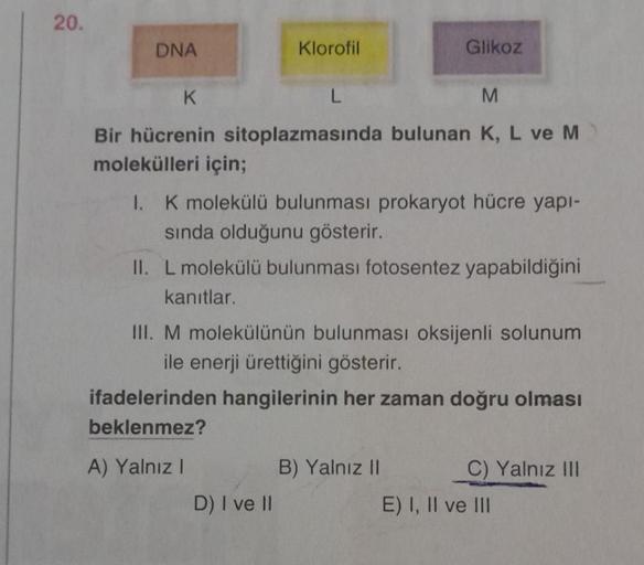 20.
DNA
Klorofil
L
K
M
Bir hücrenin sitoplazmasında bulunan K, L ve M
molekülleri için;
1. K molekülü bulunması prokaryot hücre yapı-
sında olduğunu gösterir.
II. L molekülü bulunması fotosentez yapabildiğini
kanıtlar.
D) I ve II
Glikoz
III. M molekülünün 