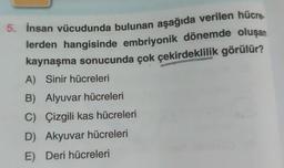 5. İnsan vücudunda bulunan aşağıda verilen hücre
lerden hangisinde embriyonik dönemde oluşan
kaynaşma sonucunda çok çekirdeklilik görülür?
A) Sinir hücreleri
B) Alyuvar hücreleri
C) Çizgili kas hücreleri
D) Akyuvar hücreleri
E) Deri hücreleri