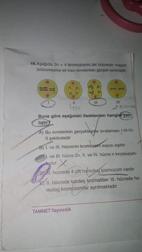 18. Aşağıda 2n = 4 kromozomlu bir hücrenin mayoz
bölünmesine ait bazı evrelerinin görseli verilmiştir.
11
Ger
IV
2 kroma
Buna göre aşağıdaki ifadelerden hangisi yan-
liştir?
A) Bu evrelerinin gerçekleşme sıralaması I-III-IV-
Il şeklindedir
B) I. ve III. hü