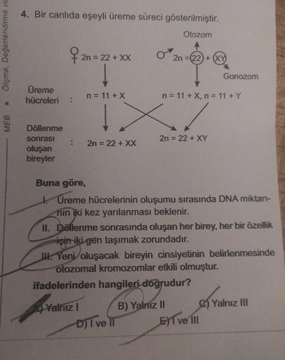 Ölçme, Değerlendirme ve
6
MEB
4. Bir canlıda eşeyli üreme süreci gösterilmiştir.
Otozom
Üreme
hücreleri :
Döllenme
sonrası
oluşan
bireyler
2n =
1 = 22 + XX
n = 11 + X
2n=22) + XY
: 2n = 22 + XX
1 X/
2n = 22 + XY
n = 11 + X, n = 11 + Y
Gonozom
Buna göre,
Ür