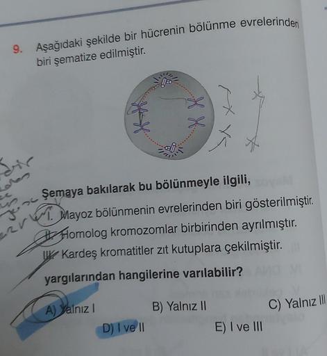 9. Aşağıdaki şekilde bir hücrenin bölünme evrelerinden
biri şematize edilmiştir.
Sir
w
22r
Şemaya bakılarak bu bölünmeyle ilgili,
M
Mayoz bölünmenin evrelerinden biri gösterilmiştir.
Homolog kromozomlar birbirinden ayrılmıştır.
Kardeş kromatitler zıt kutup