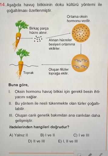 14. Aşağıda havuç bitkisinin doku kültürü yöntemi ile
çoğaltılması özetlenmiştir.
Birkaç parça
hücre alınır.
Toprak
A) Yalnız II
Ortama oksin
hormonu verilir.
Alınan hücreler
besiyeri ortamına
ekilirler.
Buna göre,
1. Oksin hormonu havuç bitkisi için gerek