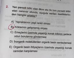 2.
Yarı parazit bitki olan ökse otu ile tam parazit bitki
olan canavar otunda, aşağıda verilen özelliklerin-
den hangisi ortaktır?
A) Yapraklarının yeşil renkli olması
peixe
B) Köklerinin gelişmemiş olması
C) Emeçlerini üzerinde yaşadığı konak bitkinin sadece
odun borularına göndermesi
D) Inorganik moleküllerden organik besin sentezlemesi
ishla
E) Organik besin ihtiyaçlarını üzerinde yaşadığı konak
canlıdan karşılaması
dok