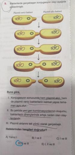 9. Bakterilerde gerçekleşen konjugasyon olayı aşağıda
gösterilmiştir.
Plazmit verici bakteri
O
sminulud maligny issor at
Buna göre,
I. Konjugasyon sonucunda hem plazmit alıcı, hem
de plazmit verici bakterilerin kalıtsal yapısı tama-
men aynı olur.
A) Yalnı