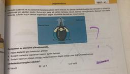 tma
Basınçlı hava
Değerlendirme
3. Denizaltı su altında ve su yüzeyinde hareket edebilen deniz aracıdır. Su altında hareket etmekte olan denizaltı su yüzeyine
çıkabilmek için ağırlığını azaltır. Bunun için safra adı verilen tanklara yüksek basınçlı hava gönderilir. Basınçlı hava safra
tankında bulunan suyun denize boşalmasını sağlar, böylelikle denizaltı su yüzeyine çıkar.
B) I ve II
Su
Denizaltı
Su
Safra tankı
Denizaltının su yüzeyine yükselmesinde,
I. Kapalı kaplarda gaz basıncının artması
II. Sıvıların üzerlerine uygulanan basıncı aynen iletmesi
III. Sıvıların basıncın yüksek olduğu yerden basıncın düşük olduğu yere doğru hareket etmesi
verilenlerden hangileri etkilidir?
A) Yalnız I
TEST-41
C) II ve III
D) I, II ve III