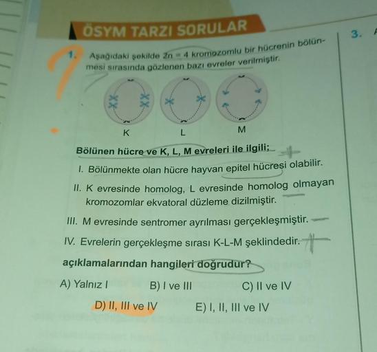 1.
ÖSYM TARZI SORULAR
Aşağıdaki şekilde 2n = 4 kromozomlu bir hücrenin bölün-
mesi sırasında gözlenen bazı evreler verilmiştir.
K
L
M
Bölünen hücre ve K, L, M evreleri ile ilgili;
1. Bölünmekte olan hücre hayvan epitel hücresi olabilir.
II. K evresinde hom