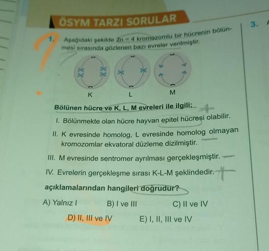 1.
ÖSYM TARZI SORULAR
Aşağıdaki şekilde 2n = 4 kromozomlu bir hücrenin bölün-
mesi sırasında gözlenen bazı evreler verilmiştir.
K
L
M
Bölünen hücre ve K, L, M evreleri ile ilgili;
1. Bölünmekte olan hücre hayvan epitel hücresi olabilir.
II. K evresinde hom