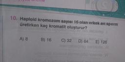 10. Haploid kromozom sayısı 16 olan erkek arı sperm
üretirken kaç kromatit oluşturur?
evile nigoxe
A) 8
Xebe ev es debilepl
B) 16
jásrpaulo xisla 16
C) 32 D) 64
izomzebiegep senidofie III
E) 128
umuzulo Nios20x ebniseplöd 10tavle VI