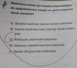 Mantarların canlılar için faydaları düşünüldüğün-
de aşağıdakilerden hangisi en geniş kapsamlı
olarak sayılabilir?
A) Böcekler tarafından barınak olarak kullanılırlar.
B) İnsanlar tarafından besin kaynağı olarak kullanı-
Yırlar.
C) Antibiyotik üretiminde kullanılırlar.
D) Hamurun mayalanmasında kullanılırlar.
E Madde döngüsünde kullanılırlar.