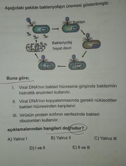 Aşağıdaki şekilde bakteriyofajın üremesi gösterilmiştir.
ISTER
Bakteriyofaj
hayat devri
Bakteri
Buna göre;
1. Viral DNA'nın bakteri hücresine girişinde bakterinin
hidrolitik enzimleri kullanılır.
II. Viral DNA'nın kopyalanmasında gerekli nükleotitler
bakteri hücresinden karşılanır.
D) I ve II
III. Virüsün protein kılıfının sentezinde bakteri
ribozomları kullanılır.
açıklamalarından hangileri doğrudur?
A) Yalnız I
B) Yalnız II
E) II ve III
C) Yalnız III