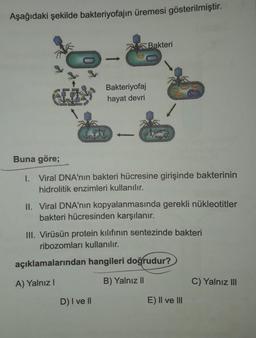 Aşağıdaki şekilde bakteriyofajın üremesi gösterilmiştir.
ISTER
Bakteriyofaj
hayat devri
Bakteri
Buna göre;
1. Viral DNA'nın bakteri hücresine girişinde bakterinin
hidrolitik enzimleri kullanılır.
II. Viral DNA'nın kopyalanmasında gerekli nükleotitler
bakteri hücresinden karşılanır.
D) I ve II
III. Virüsün protein kılıfının sentezinde bakteri
ribozomları kullanılır.
açıklamalarından hangileri doğrudur?
A) Yalnız I
B) Yalnız II
E) II ve III
C) Yalnız III