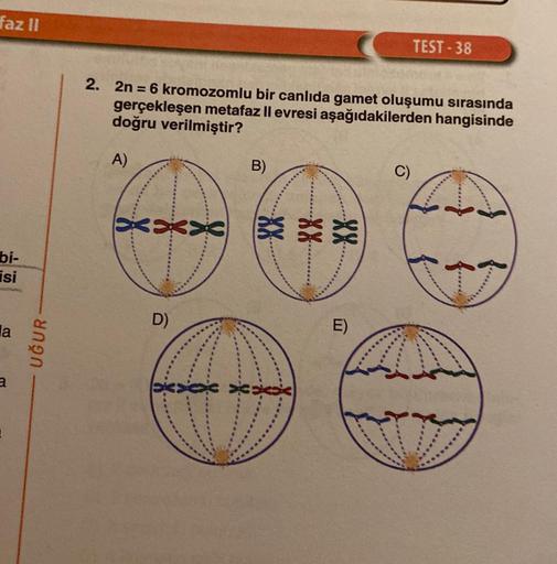 faz II
bi-
isi
la
a
UĞUR
2. 2n = 6 kromozomlu bir canlıda gamet oluşumu sırasında
gerçekleşen metafaz II evresi aşağıdakilerden hangisinde
doğru verilmiştir?
A)
XXX**
D)
B)
*******..
E)
TEST-38
C)
V
}