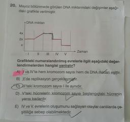 20. Mayoz bölünmede görülen DNA miktarındaki değişimler aşağı-
daki grafikte verilmiştir.
4x
2x
X
DNA miktarı
Zaman
III IV V
Grafikteki numaralandırılmış evrelerle ilgili aşağıdaki değer-
lendirmelerden hangisi yanlıştır?
A) I ve IV'te hem kromozom sayısı hem de DNA miktarı eşittir.
B) Il'de replikasyon gerçekleşmiştir.
Cll'teki kromozom sayısı I ile aynıdır.
D) V'teki hücrelerin kromozom sayısı başlangıçtaki hücrenin
yarısı kadardır.
E) IV ve V. evrelerin oluşumunu sağlayan olaylar canlılarda çe-
şitliliğe sebep olabilmektedir.